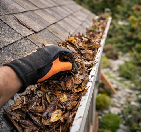 Professional Gutter Cleaning Services in Missoula and Western Montana